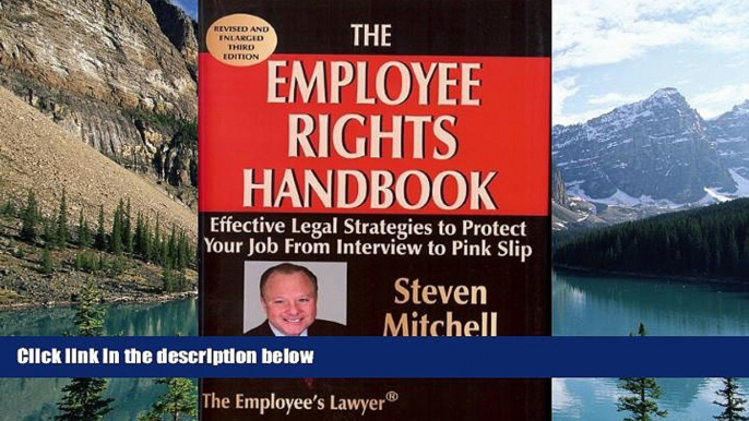 Buy Steven Mitchell Sack The Employee Rights Handbook: Effective Legal Strategies to Protect Your