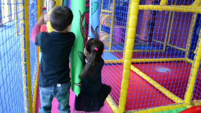 Indoor Playground Family Fun for Kids Play Center Slides Playroom with Balls _ TheChildhoodLife