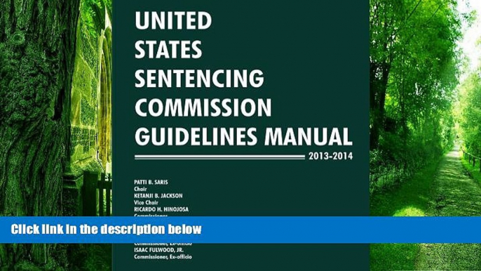 Buy NOW  United States Sentencing Commission Guidelines Manual 2013-2014 United States Sentencing