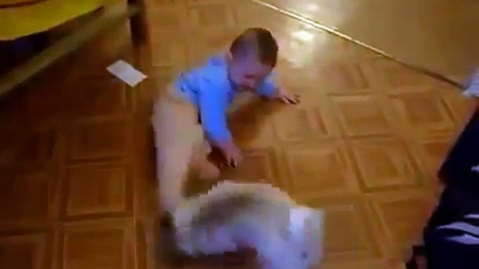 Dog with Funny Baby - Funny Cats - Funny Dogs & Animals - Animals Funny