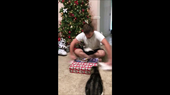 Son chat était surement jaloux du cadeau.... Attaque fourbe!