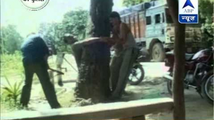 Horrific video from UP: Man accused of carrying stolen pulses brutally assaulted by policemen