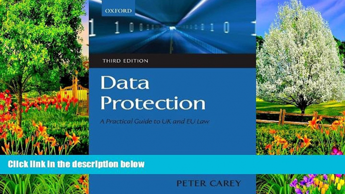 Online Peter Carey Data Protection: A Practical Guide to UK and EU Law Audiobook Epub