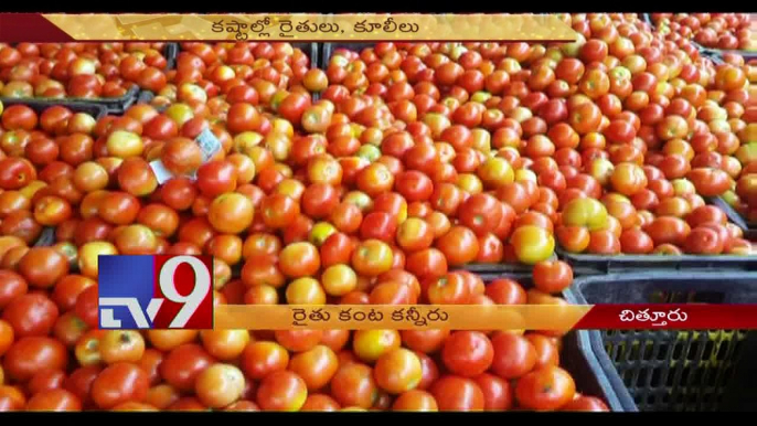 Big Notes ban hurts Tomato farmers - TV9