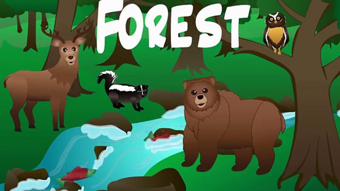 Forest Animals Video for Children – Forest Animal Spelling Songs for Kids –Preschoolers Kindergarten