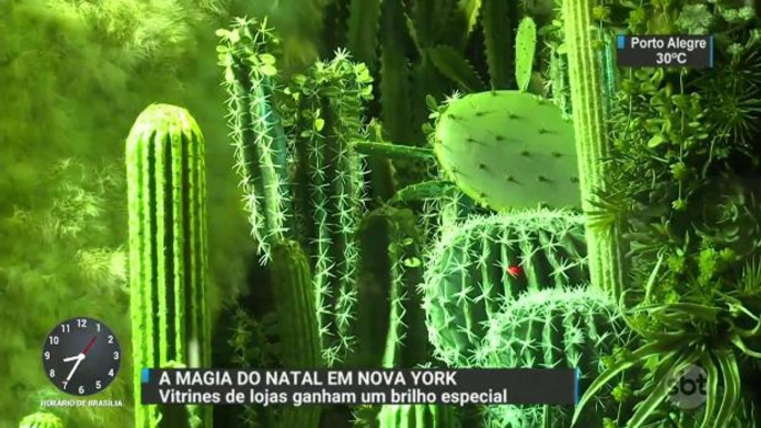 Em Nova York, vitrines de lojas ganham brilho especial no Natal