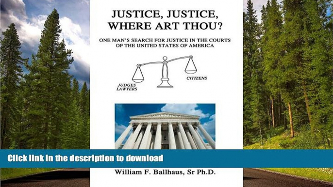 PDF ONLINE Justice, Justice, Where Art Thou?: One Man s Search for Justice in the Courts of the