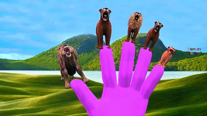 Finger Family Lion Vs King Kong Cartoons For Kids | Finger Family Nursery Rhymes For Children