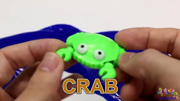 Learning Sea Creatures for Children with Sea Creatures Fishing Toy