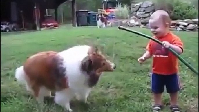 Baby and Dog Play With Hose - Funny Cats - Funny Dogs & Animals - Animals Funny