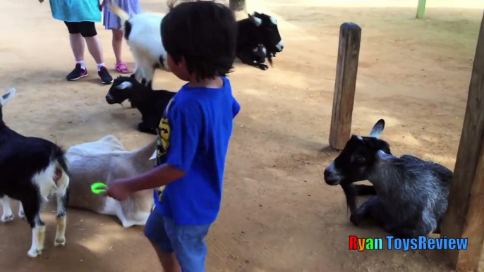 ANIMALS POOPING AT THE ZOO Kid at the ZOO Funny Family Fun Trip to Petting Farm Animals for Children-02