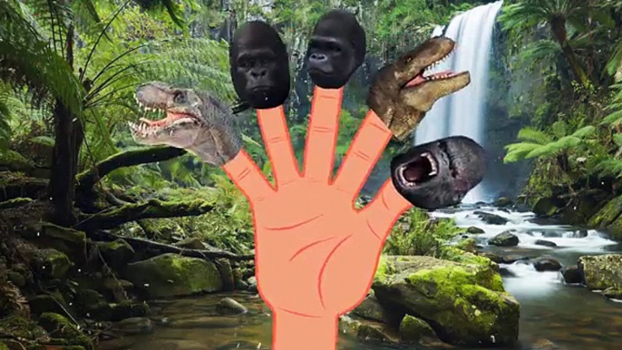 Finger Family Crazy Dinosaur Vs Crazy Gorilla | Animals Cartoons Finger Family Nursery Rhymes