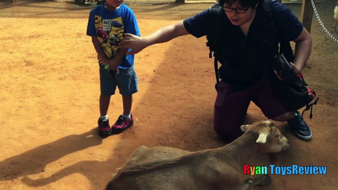 ANIMALS POOPING AT THE ZOO Kid at the ZOO Funny Family Fun Trip to Petting Farm Animals for Children-10j0shndmfk