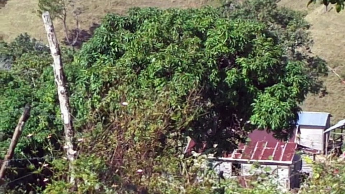 Viviendas y naturaleza, paisajes naturales