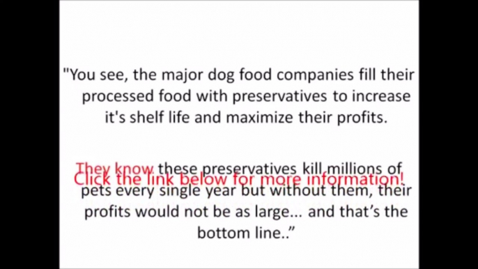 Shocking Commercial Dog Food Secrets Revealed