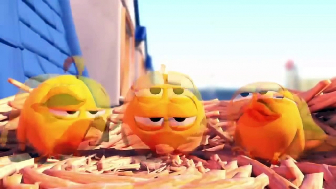 Angry Birds. Their playful chicks. Funny cartoon about birds.