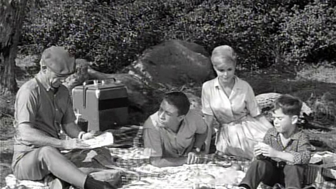 My Favorite Martian  S01E14 - Blood is Thicker than the Martian