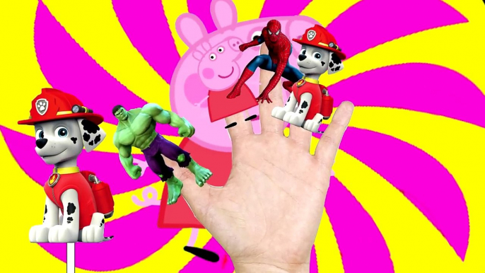 Finger Family collection Spiderman Paw Patrol Peppa pig Lollipop Nursery Rhymes Lyrics for Kids