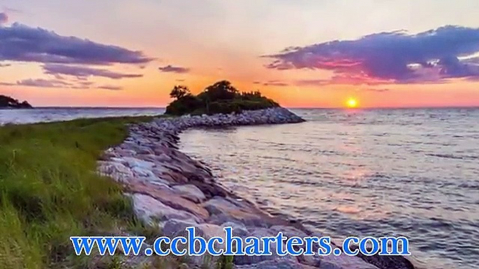 Cape Cod Bay Charters, Inc. - Enjoy Our Fishing Charters