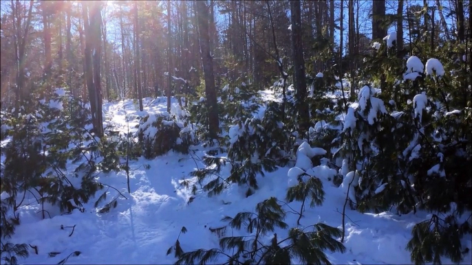 Ce skieur hors piste a du avoir très mal... KO direct