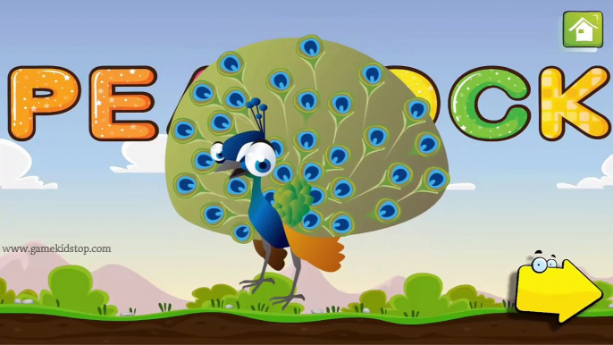 Kids Learn Spell and Birds Name - Educational video for Kids - Learn English Words (Spelling)