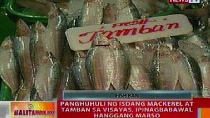 BT: Panghuhuli ng isdang mackerel at tamban sa Visayas, ipinagbabawal hanggang Marso