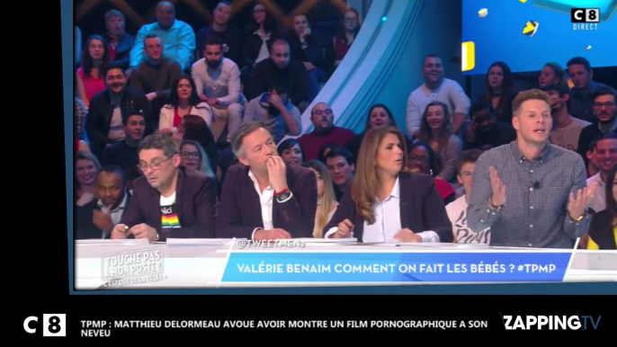 TPMP : Matthieu Delormeau avoue avoir montré un film pornographique à son neveu (Vidéo)