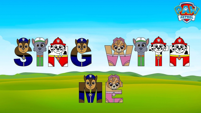 Paw Patrol ABC Song! Best Baby Learning Alphabet for Preschool Children, Toddler Kids Nurs