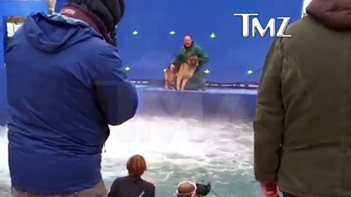 A DOG'S PURPOSE' TERRIFIED GERMAN SHEPHERD FORCED INTO TURBULENT WATER - TMZ - Dailymotion