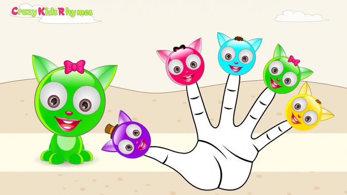Finger Family Cat Finger Family Nursery Rhymes | Talking Tom Rhymes for Children