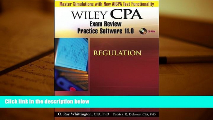 Read Book Wiley CPA Examination Review Practice Software 11.0 Reg Patrick R. Delaney  For Free