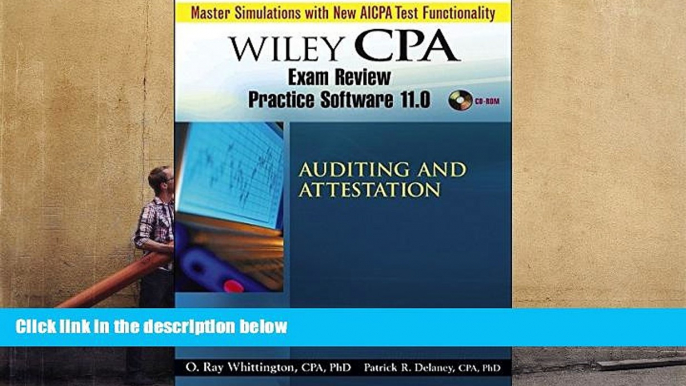 Read Book Wiley CPA Examination Review Practice Software-Audit 11.0 Patrick R. Delaney  For Kindle