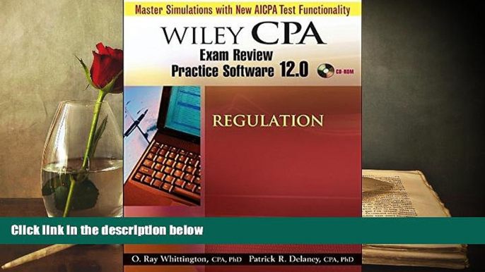 Read Book Wiley CPA Examination Review Practice Software 12.0 Regulation Patrick R. Delaney  For