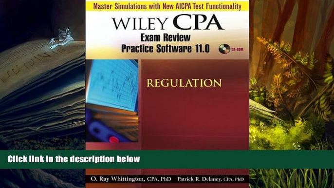 Read Book Wiley CPA Examination Review Practice Software 11.0 Reg Patrick R. Delaney  For Free