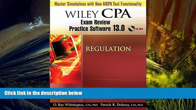 Read Book Wiley CPA Examination Review Practice Software 13.0 Reg Patrick R. Delaney  For Ipad