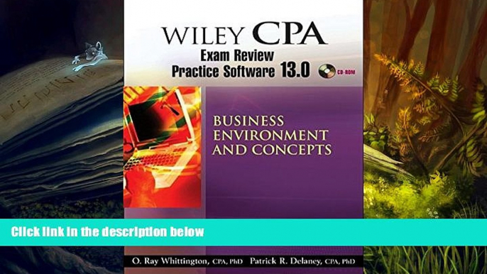 Read Book Wiley CPA Examination Review Practice Software 13.0 BEC Patrick R. Delaney  For Free