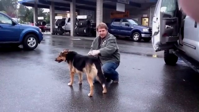 Il libère ce chien enchaîné toute sa vie... Regardez la réaction de l'animal