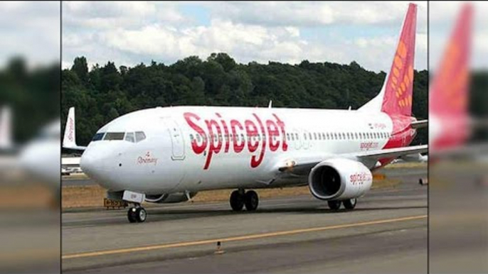 Spicejet pilot locks air hostess with him in cockpit, sacked