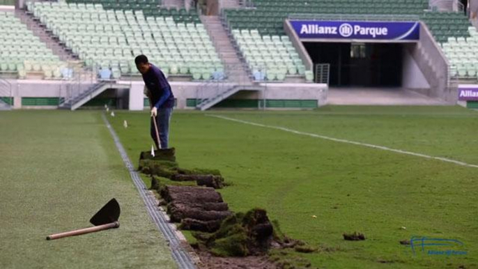 Allianz Parque mostra detalhes da troca de gramado para jogo da Libertadores. Confira!