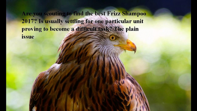 Best Frizz Shampoo reviews