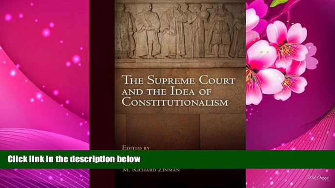 READ book The Supreme Court and the Idea of Constitutionalism (Democracy, Citizenship, and