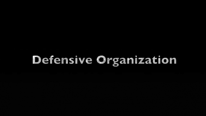 Gleison - Defensive Organization