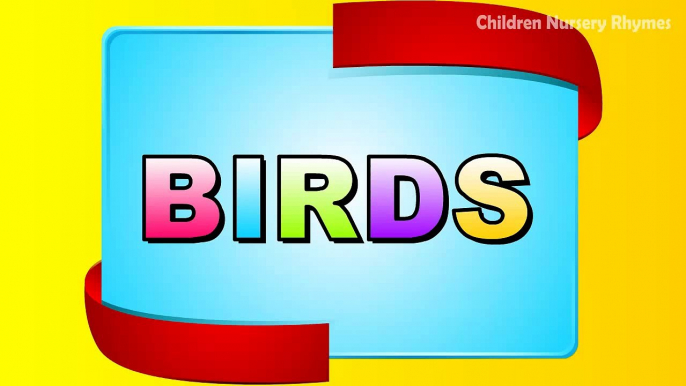 Birds Name for Children, birds video for kid, learn bird names