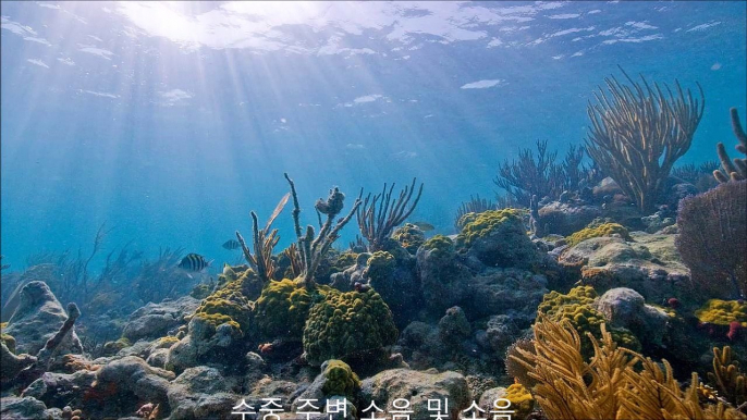 수중 주변 소음 및 소음