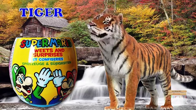 SUPER mario Wild animals Names Kids - Colors Dinosaurs Finger family 3d Rhymes - Domestic Animals