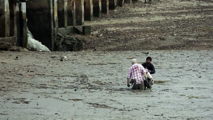 O Que Este Homem Faz Por Este Casal De Idosos…Inacreditável!