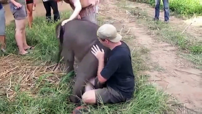 Les amitiés les plus étonnantes entre les humains et les animaux!