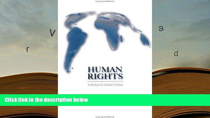 PDF [DOWNLOAD] Human Rights: A Political and Cultural Critique (Pennsylvania Studies in Human