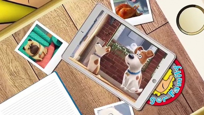 Secret Life Of Pets Finger Family Apple Nursery Rhymes. Secret Life Of Pets Finger Family Lyrics