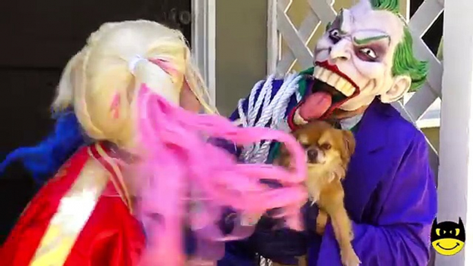 Harley Quinn KIDNAPS Frozen Elsa & Spiderman! vs Joker Hulk PRANK Superheroes Fun